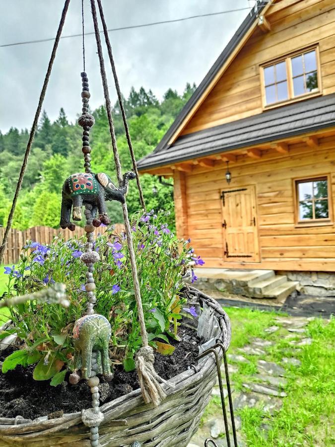 Fajna Chatka Ustrzyki Dolne Zewnętrze zdjęcie